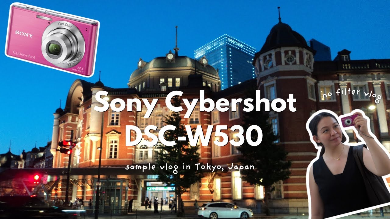 Sony Cybershot DSC-W530 No Filter Sample Vlog
