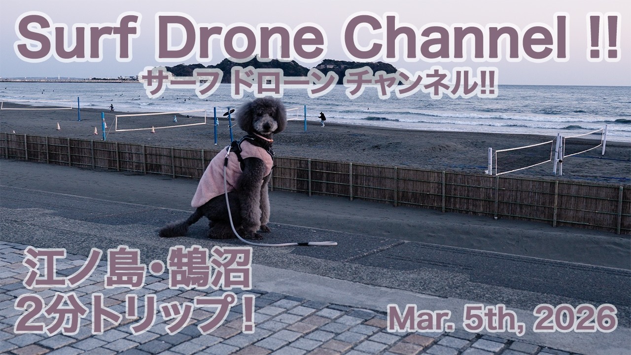 【Kugenuma, Shonan Surf Diary 鵠沼 湘南 サーフ日記】Golden hour of  Mar. 5th 2026!
