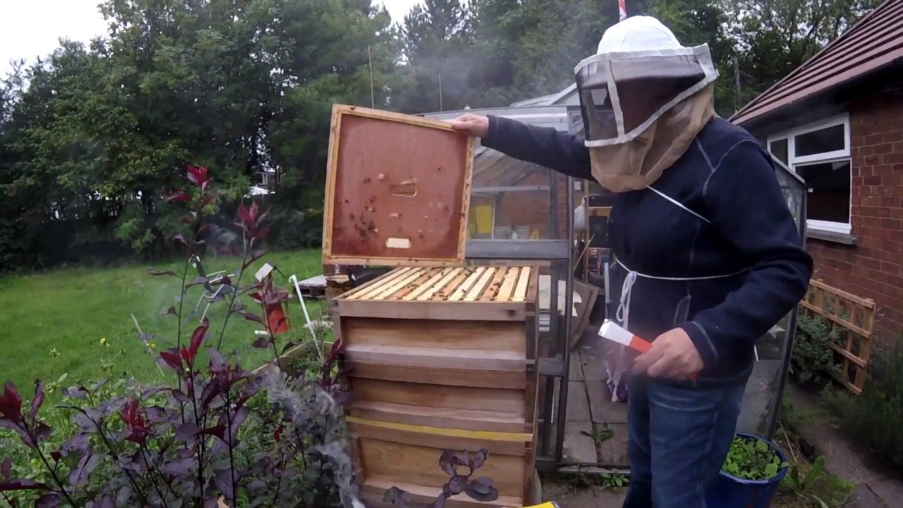 Beehive Inspection 27 Aug 2018 Stung twice