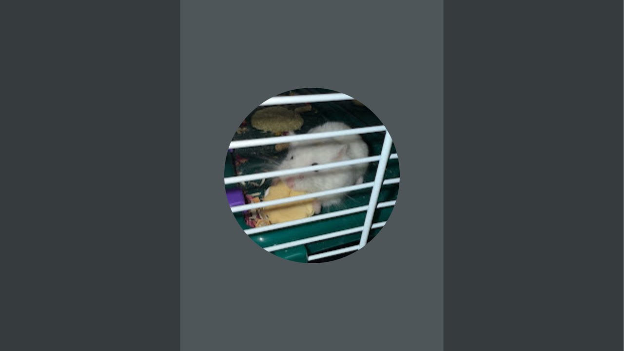 Fortnite Live event and power hour￼ #fortnite #liveevent #fortniteliveevent ￼￼￼￼