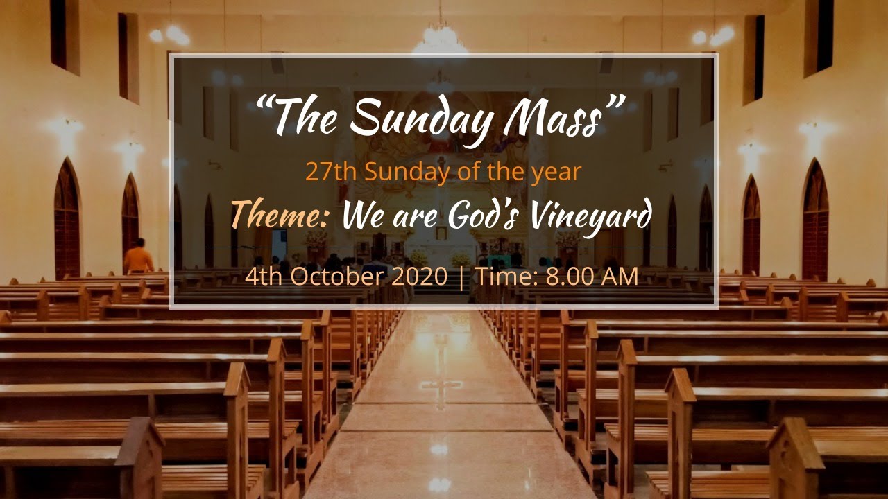 27th Sunday of the year. Holy mass. Theme We are God's vineyard. St Anne's cathedral. Nashik.