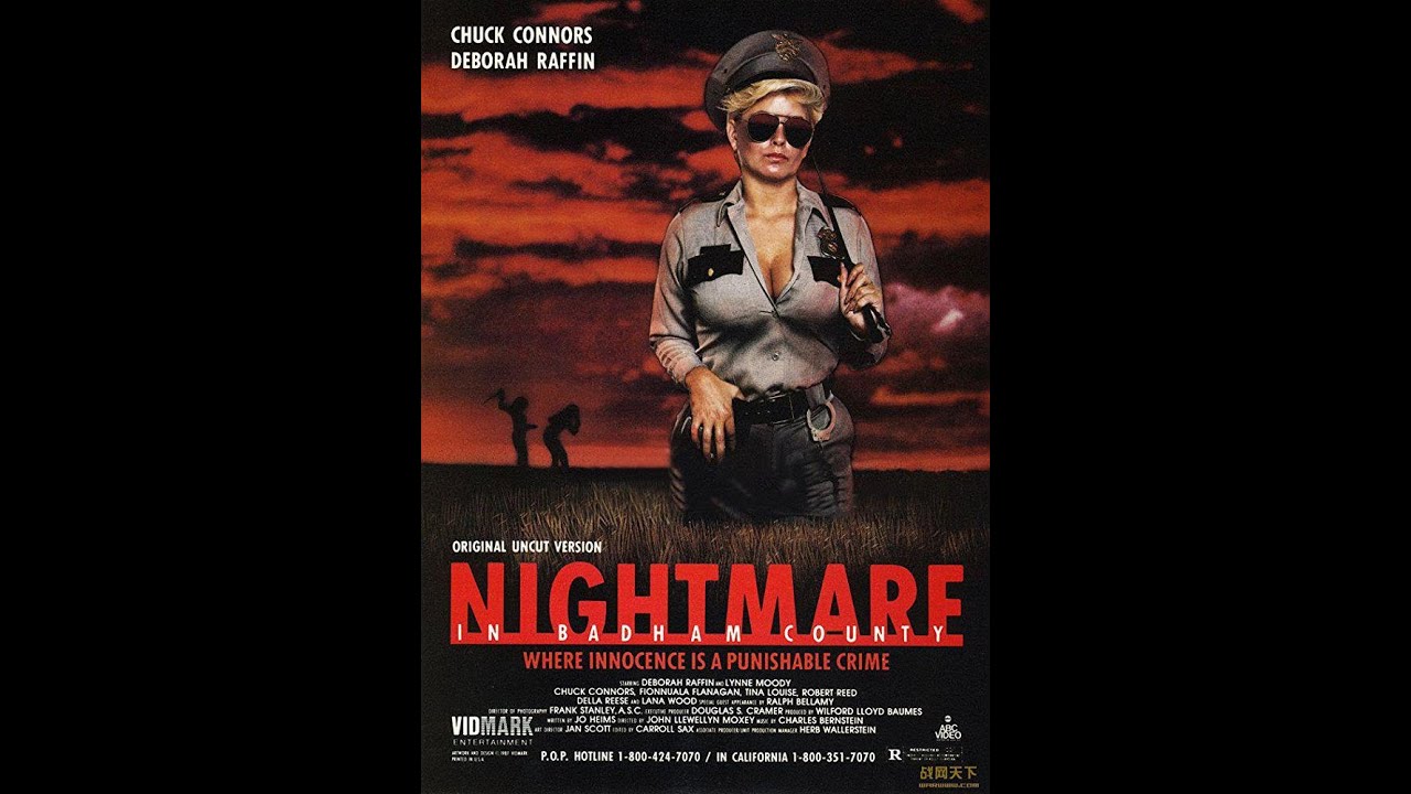【高清译制片】1976《恶梦 / 白德汉姆郡的恶梦 Nightmare in Badham County》美国惊悚电影 1080P（上译 配音：刘广宁、丁建华、尚华、朱莎、邱岳峰、李梓、程晓桦等）