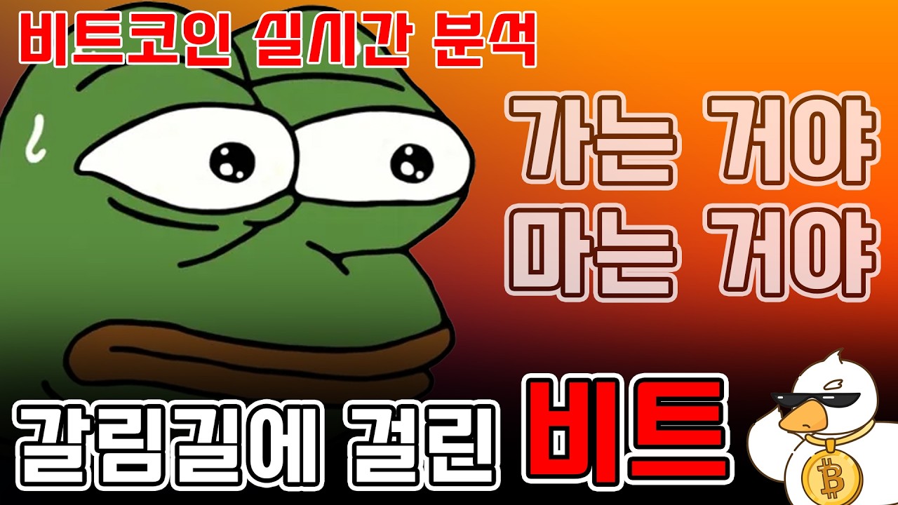 비트코인 실시간 방송) 버티긴 했는데 어렵네
