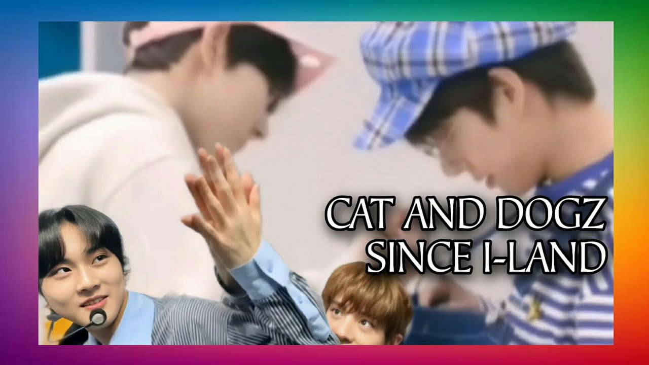 cat and dogz since i-land || En-joy with ENHYPEN