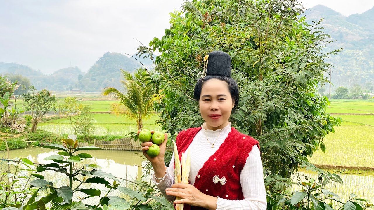 Ngày Đầu Tiên Năm Mới Mọi Người Làm Gì Ạ