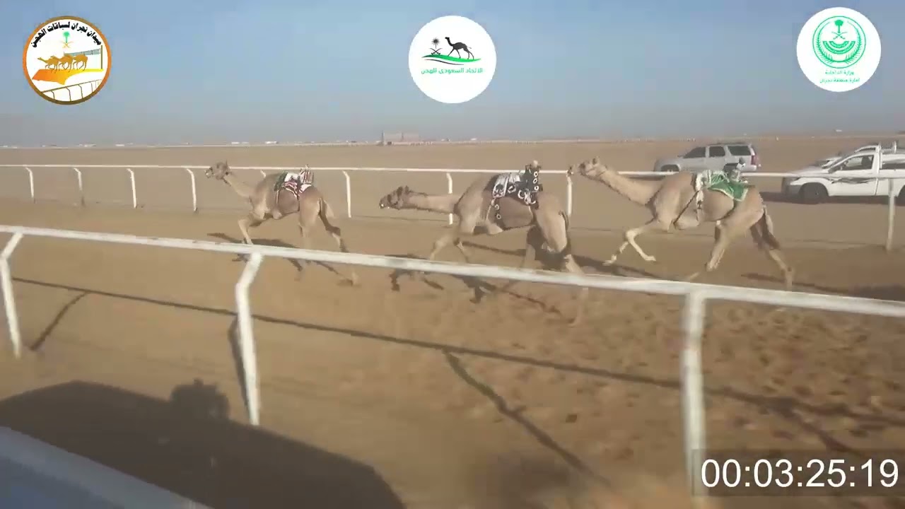 ٧/ قعدان لقايا / ٤٠٠٠م / شاهين / علي حسين الصقور