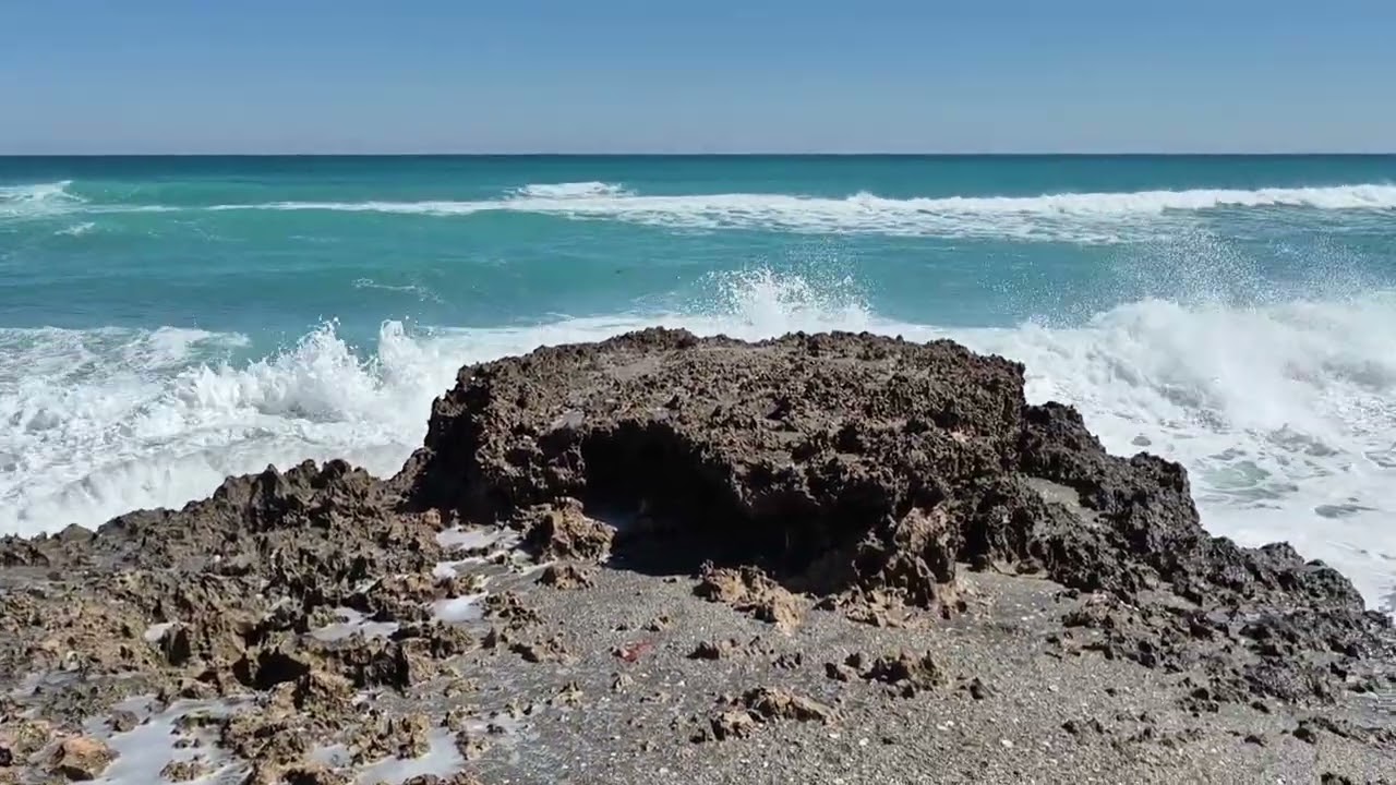  Blowing Rocks Preserve, Florida, Feb 2026