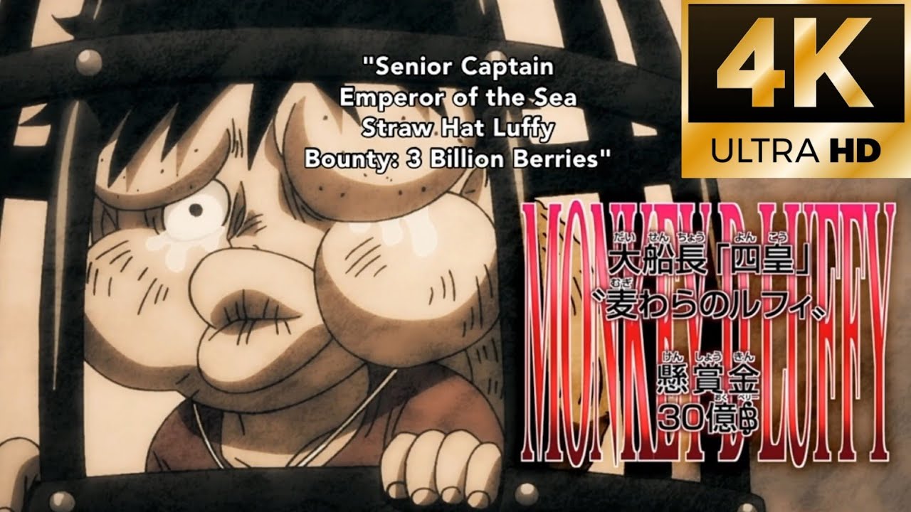 Luffy becomes one of the emperors of the sea | English Dub (4K) One Piece
