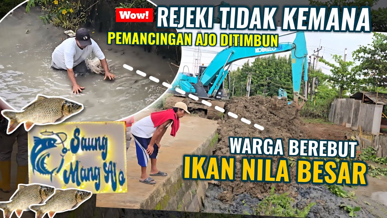 NAH REZEKI TIDAK KEMANA‼️PEMANCINGAN AJO MULAI DITIMBUN. WARGA BEREBUT IKAN NILA BESAR. KDM MANTAP