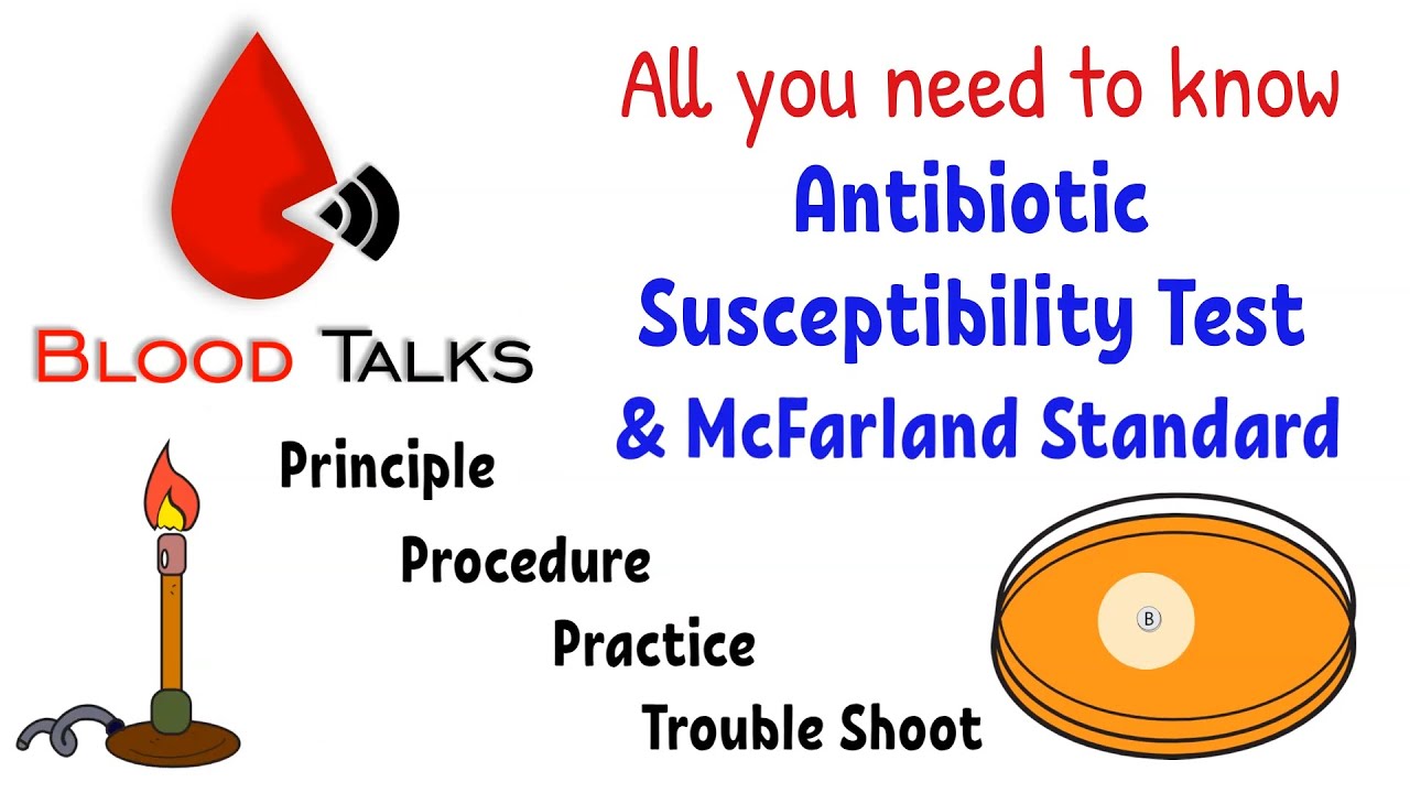 Тест на чувствительность к антибиотикам | Blood Talks: Microbiology