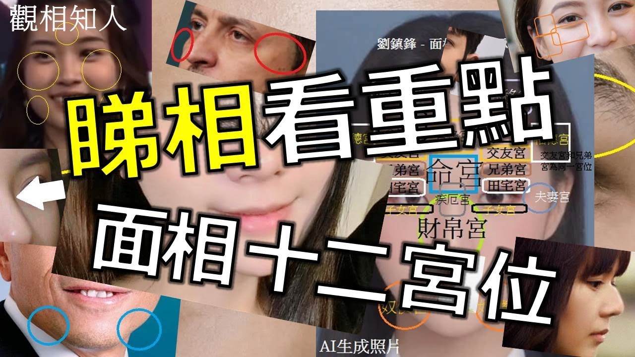 面相 面相十二宮（開啟字幕）￼｜睇相看重點 | 觀相知人｜觀人之術 | 劉鎮鋒生活頻道