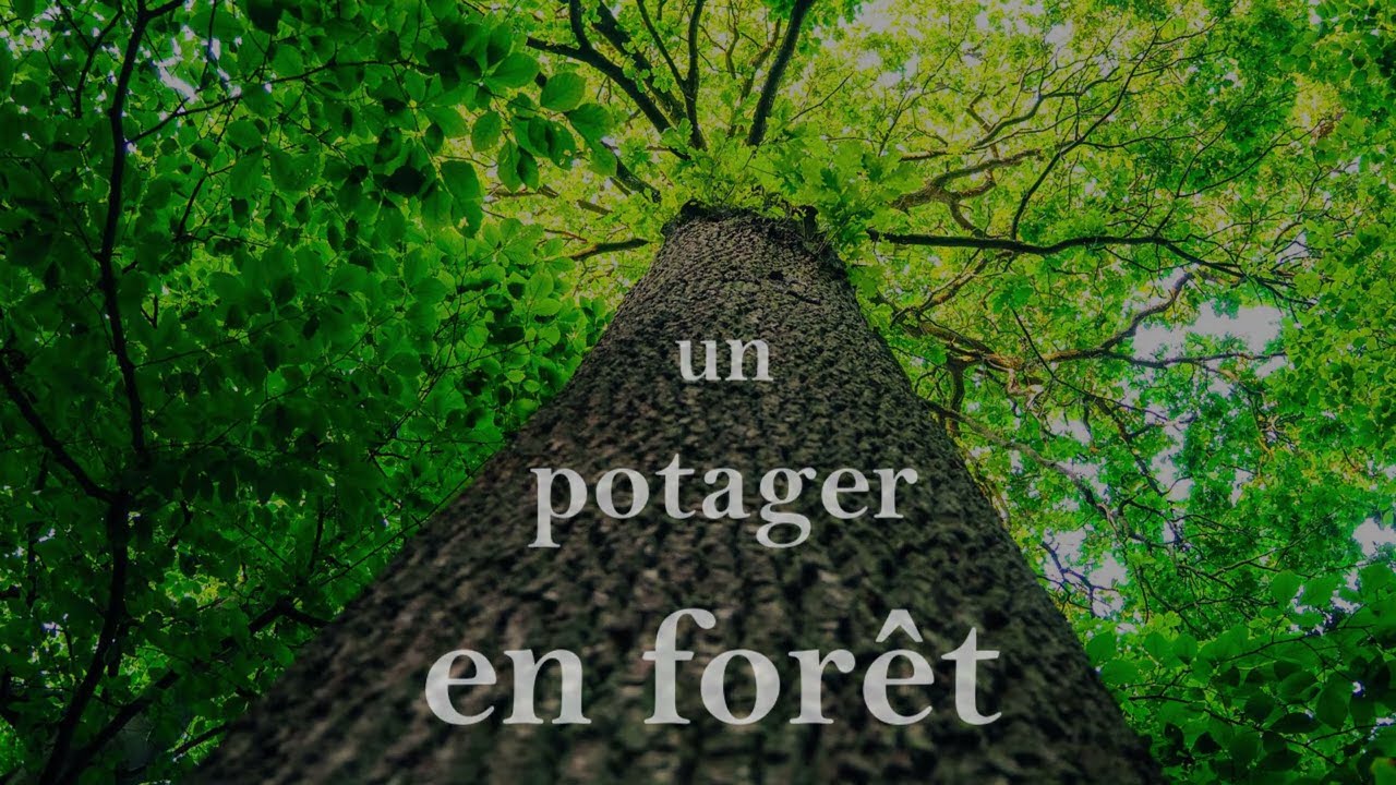 Un potager en forêt