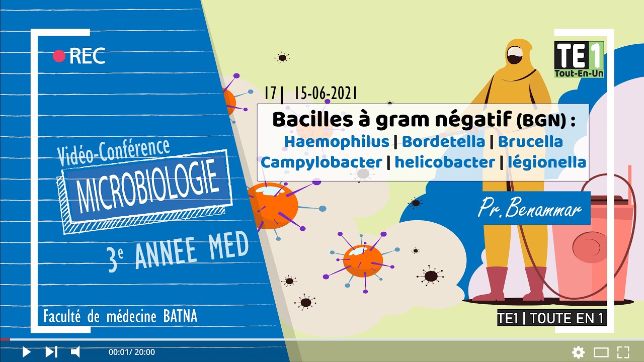 17 | BGN : Haemophilus, Bordetella, Brucella, Campylobacter, Helicobacter, Legionella