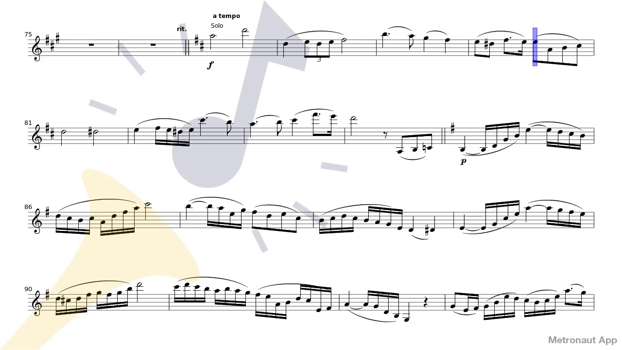 Oskar Rieding - Violin Concertino Op.25 - I. Allegro moderato