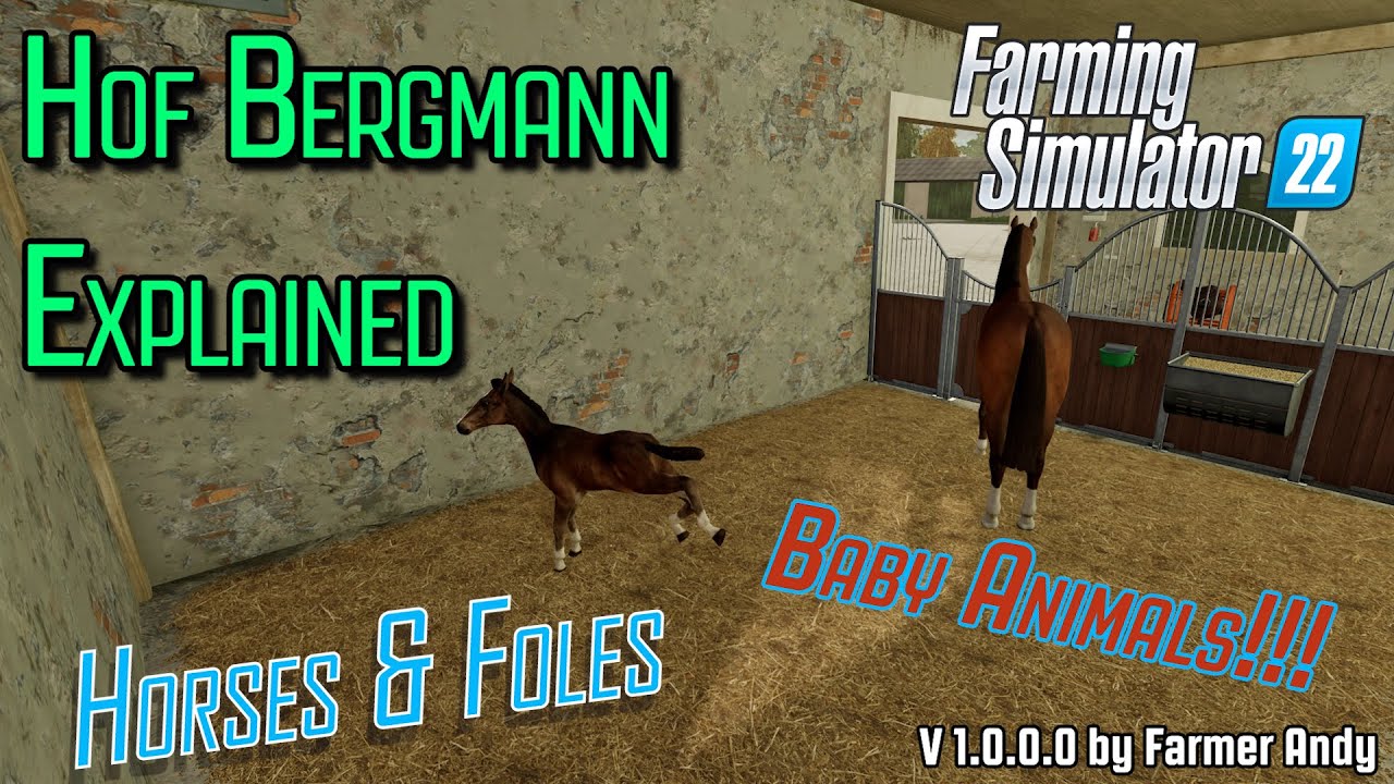 👨🏼‍🌾 FS22 Hof Bergmann Explained 👨🏼‍🌾 Horses & Foles