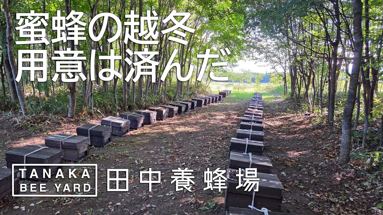 越冬前の用意とロープ掛け