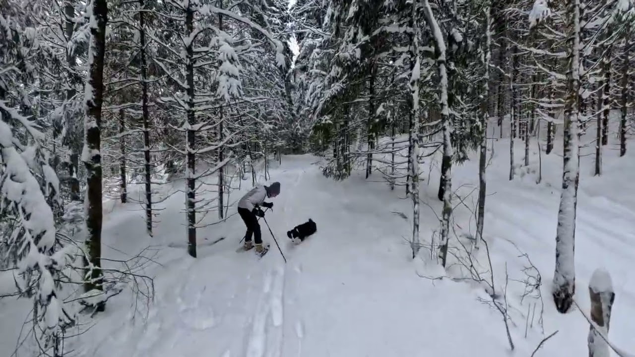 Schneeschuhwandern in Dals Rostock. Snöskovandring i Dals Rostock. 