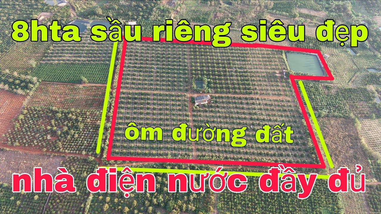8hta sầu riêng siêu đẹp nhà điện nước đầy đủ bìa công chứng trong ngày ae lh 0785311413