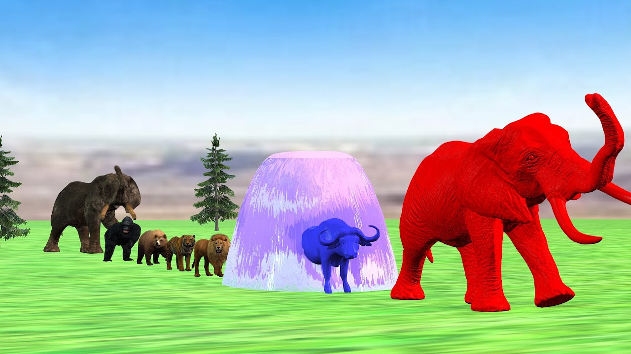 Long Slide Game With Elephant Gorilla Tiger 3d Animal Game Funny 3d Animals#30