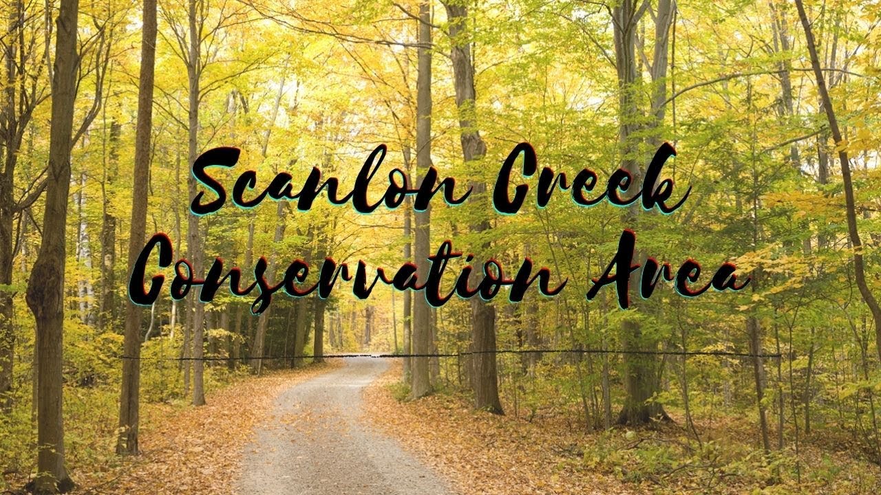 Scanlon Creek Conservation Area - Bradford Ontario