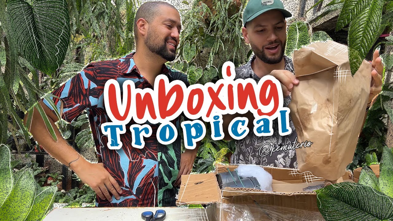 MARAVILLOSO UNBOXING DE PLANTAS EXOTICAS, RARAS y SUPER LINDAS!!! DESEMPACANDO Plantas WOW!!!  🌿💚🍀