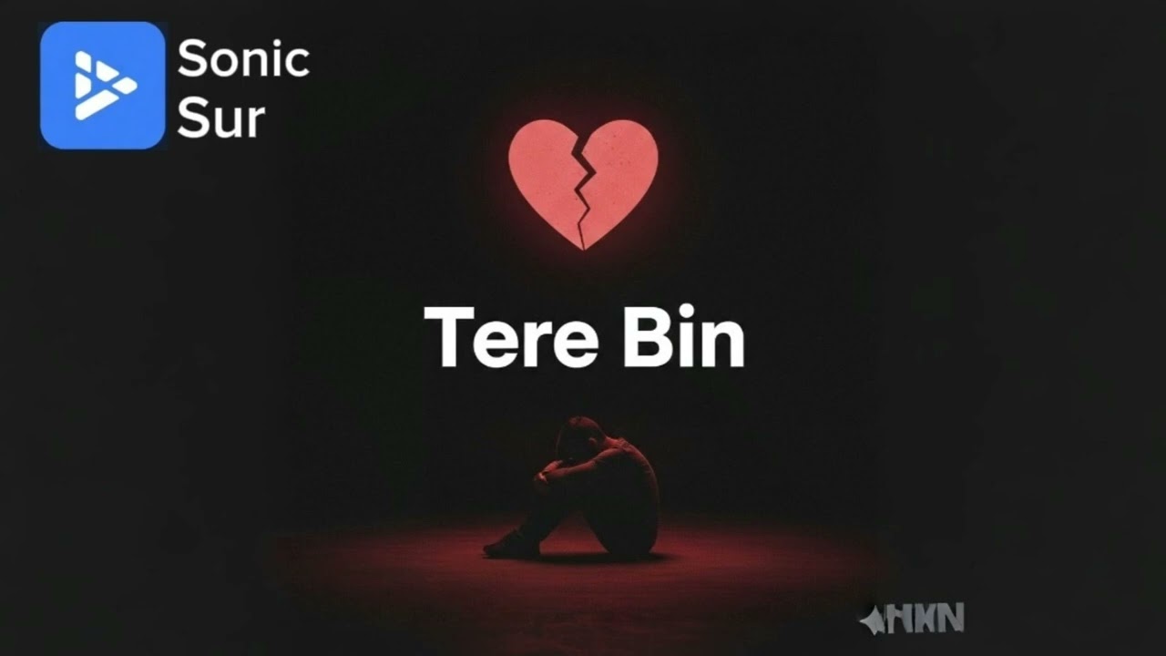 Tere Bin| Sonic Sur Official Music Video| sad | emotional song