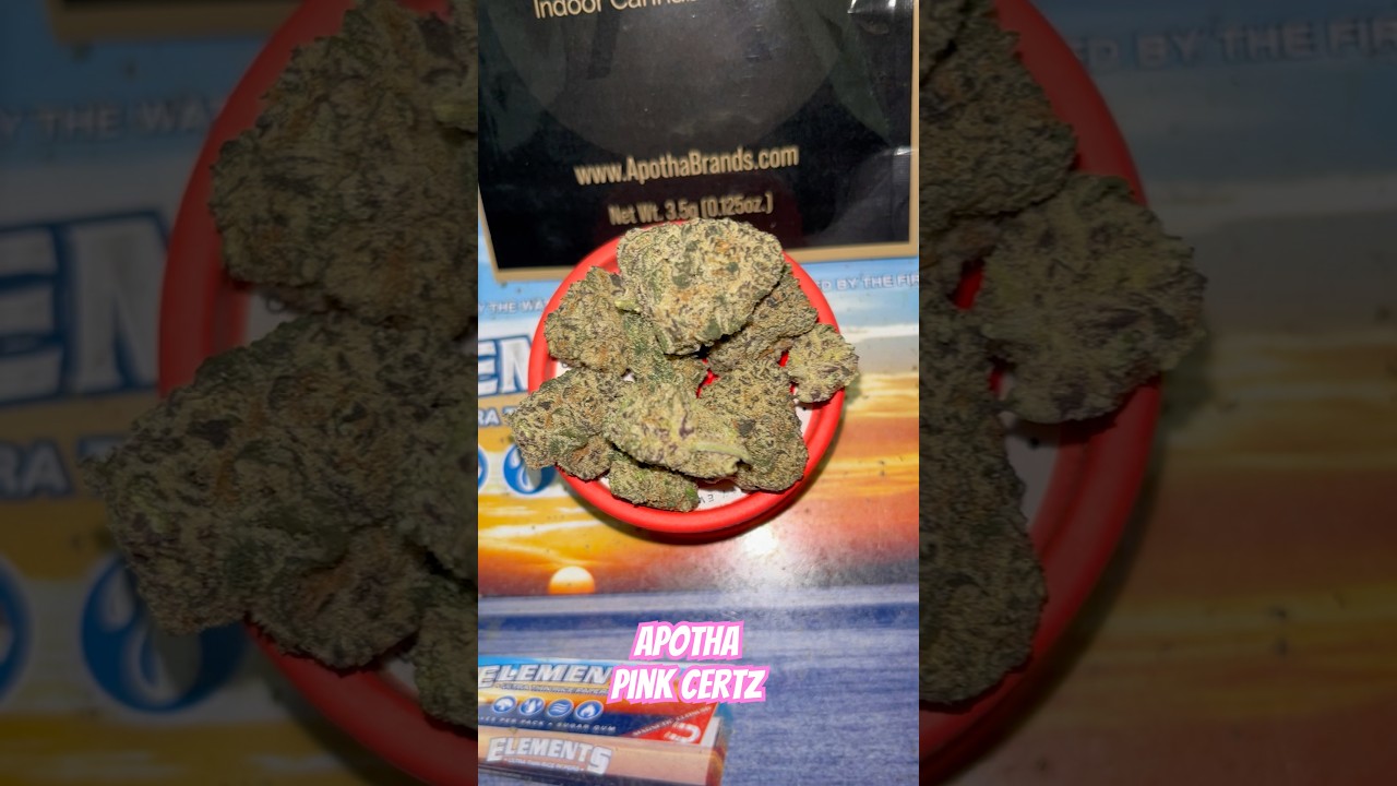 APOTHA- Pink Certz #stonersociety #medicalcannabis
