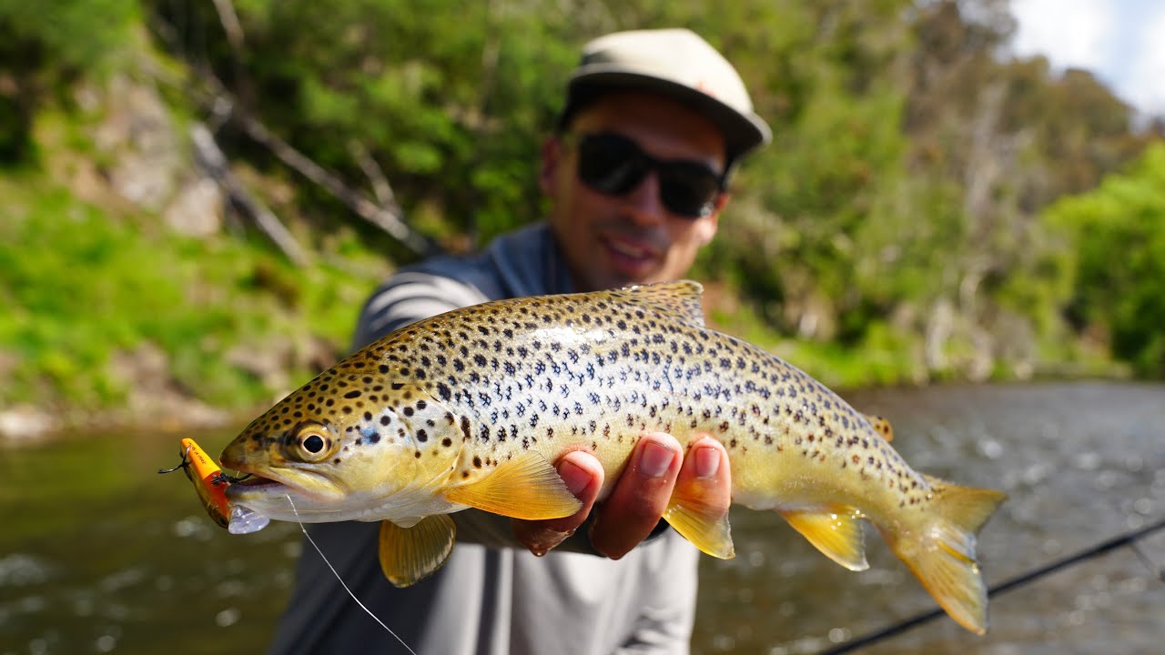 Backpacking, Camping and Fishing the river! Wild Trout Fishing
