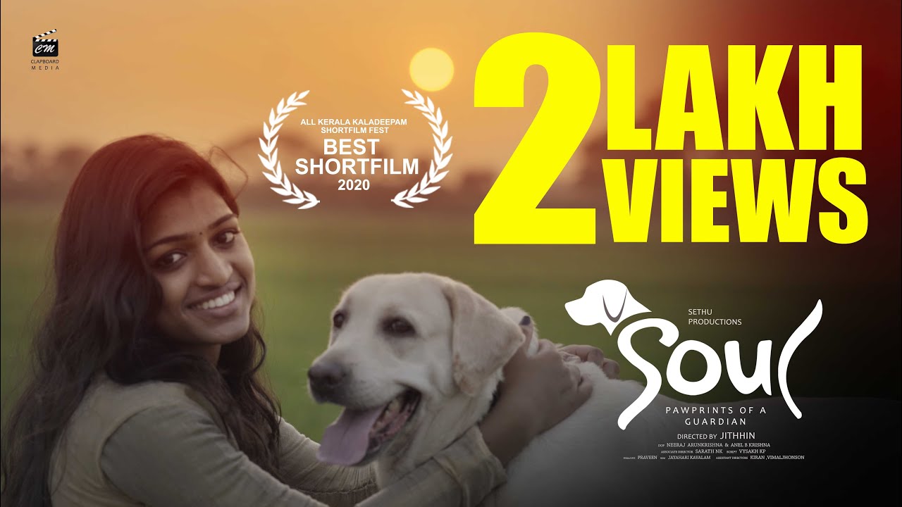 Award winning dog story #soul jithhin #malayalamshortfilm #ontrending