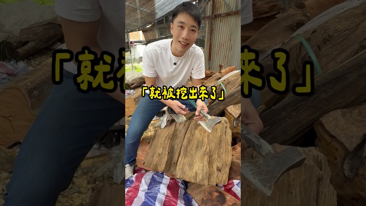 一般人沒看過的木頭「雲南陰沉肖楠」