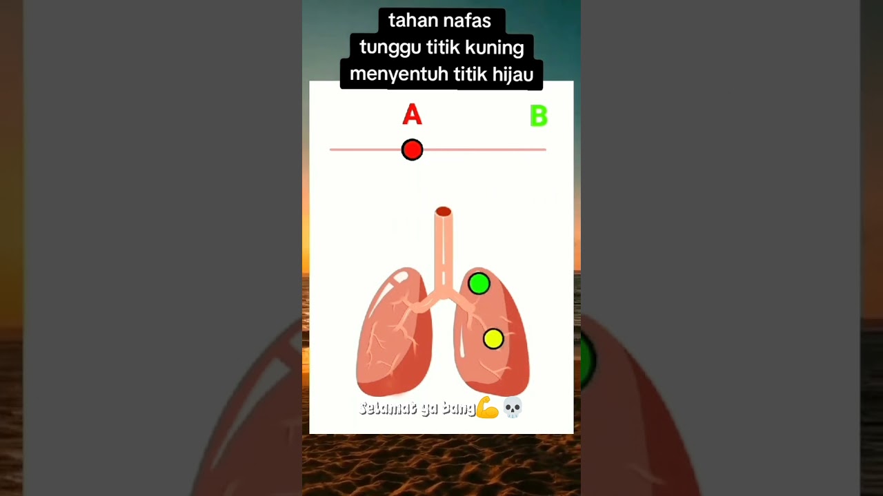 Meme lucu Pt2