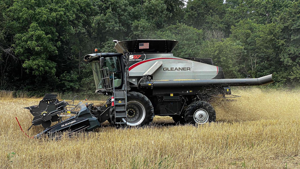 Harvesting cereal rye with A Gleaner Combine