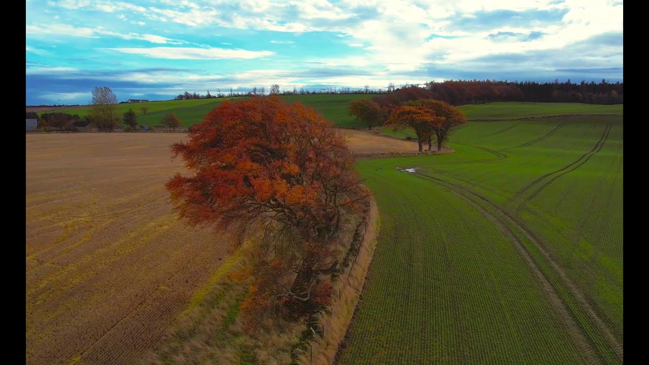 Autumn Cardenden 2025 #cardenden #photography #scotland  #travel