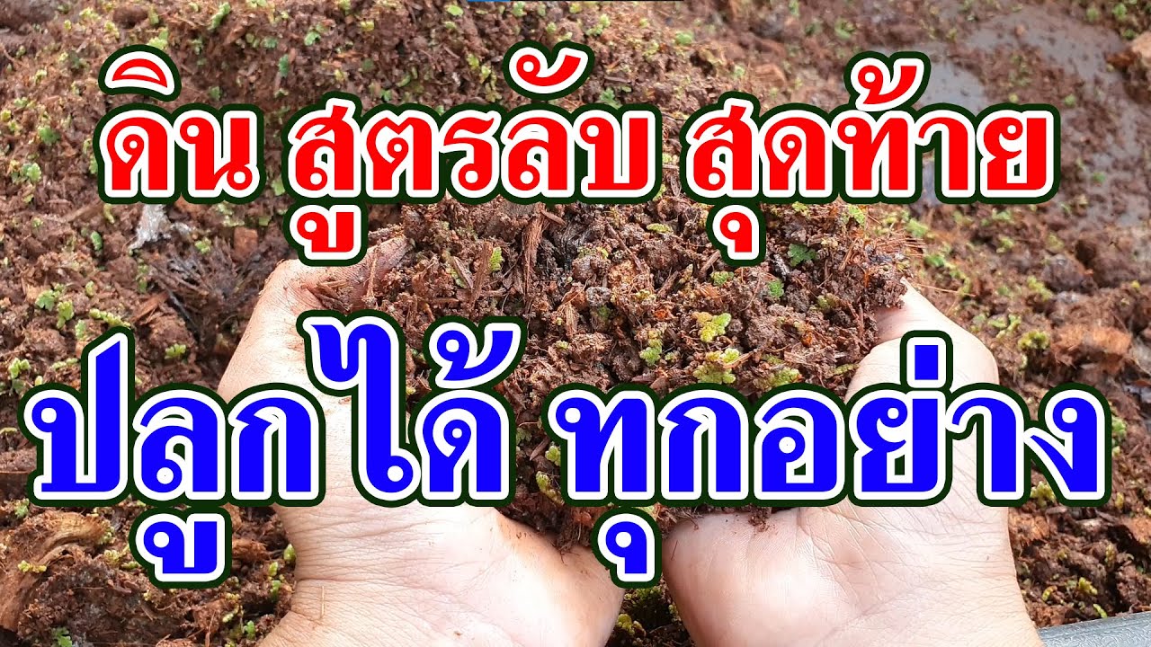 ผสมดินชีวภาพ ปลูกได้ทุกอย่าง สูตรลับสุดท้าย ของผ่อดอยฟาร์ม