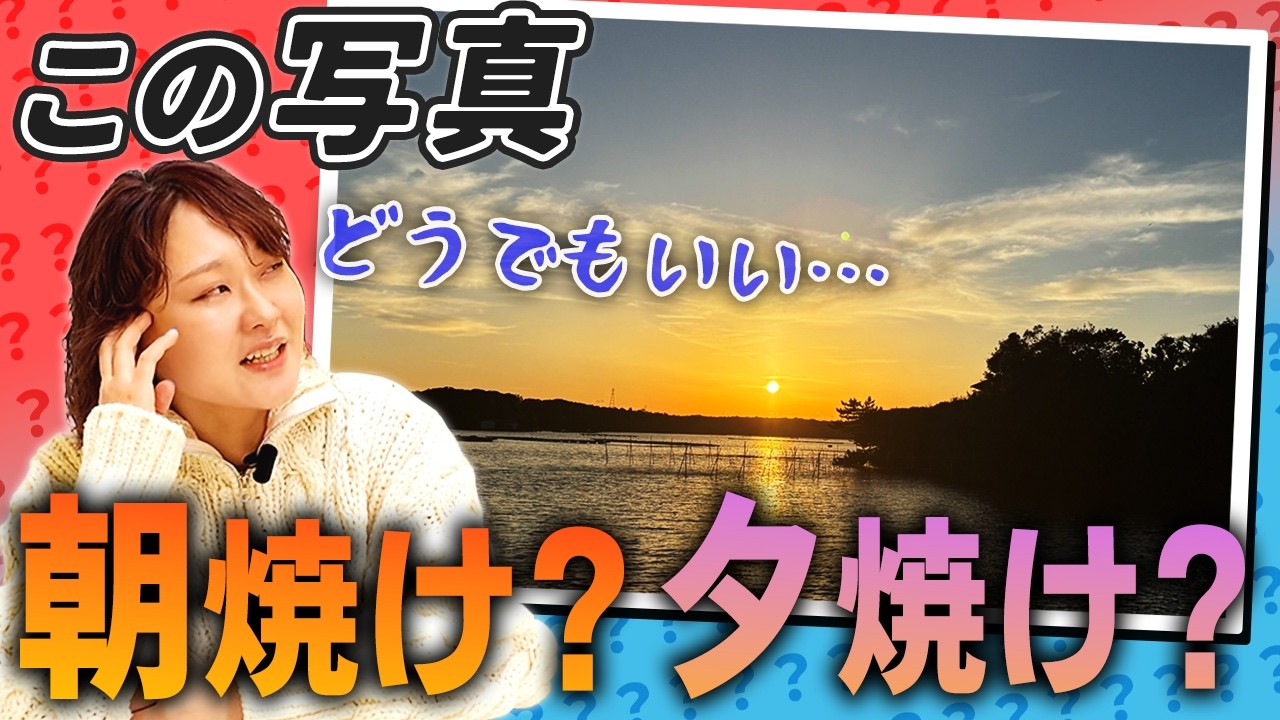 【どうでもいい2択クイズ】時間をかけて根拠を見つければ盛り上がるのではという試み
