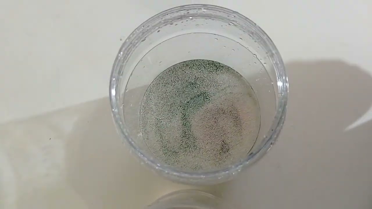 ¿Como alimentar pulga de agua?