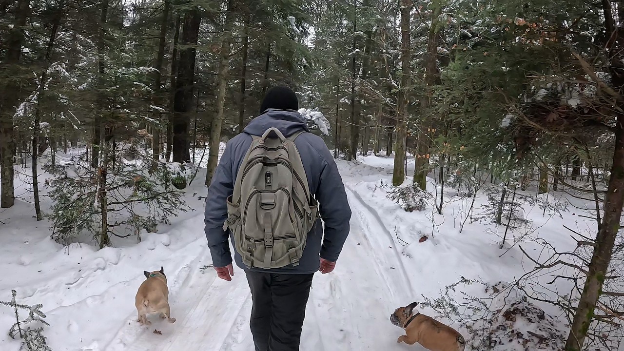 8 лютого в ліс…А там що - ще зима? ❄️ Коли чекати без снігу?