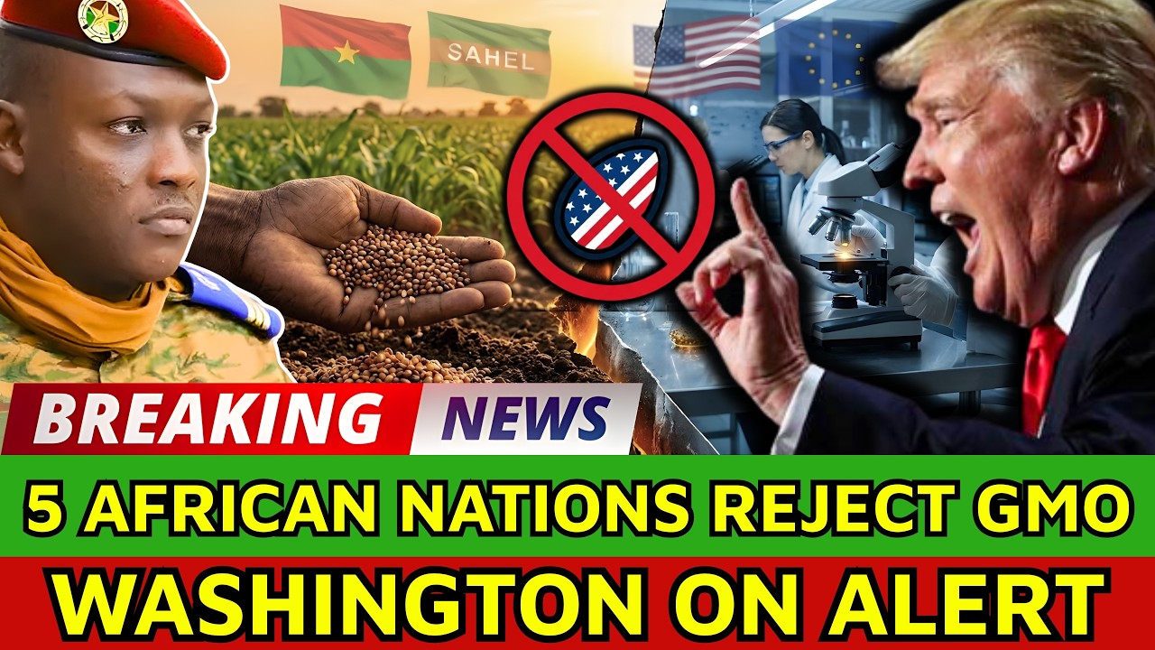Why Is Burkina Faso’s GMO Rejection Inspiring 5 African Nations to Follow?