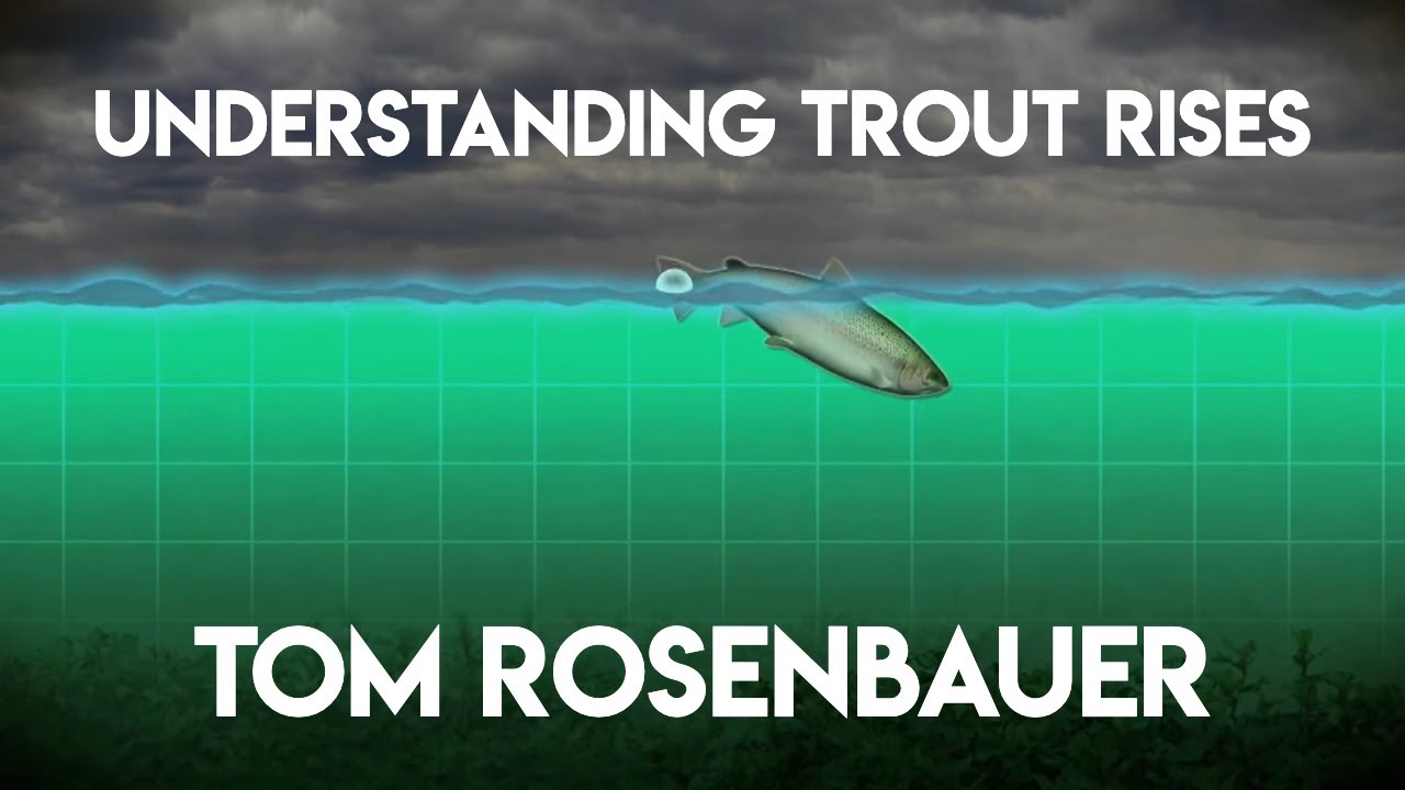 Understanding Trout Rises with Tom Rosenbauer