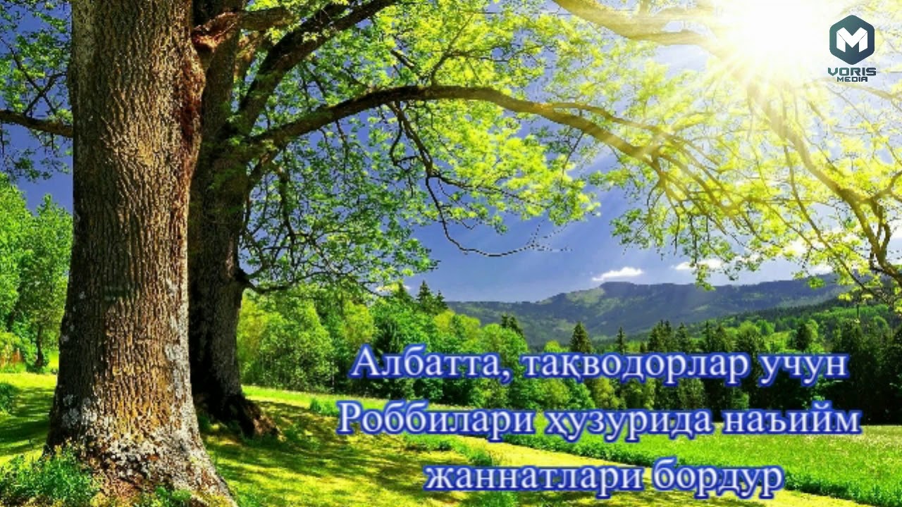 «Шайтоннинг ваъдасига ишонма» Акрамжон домла