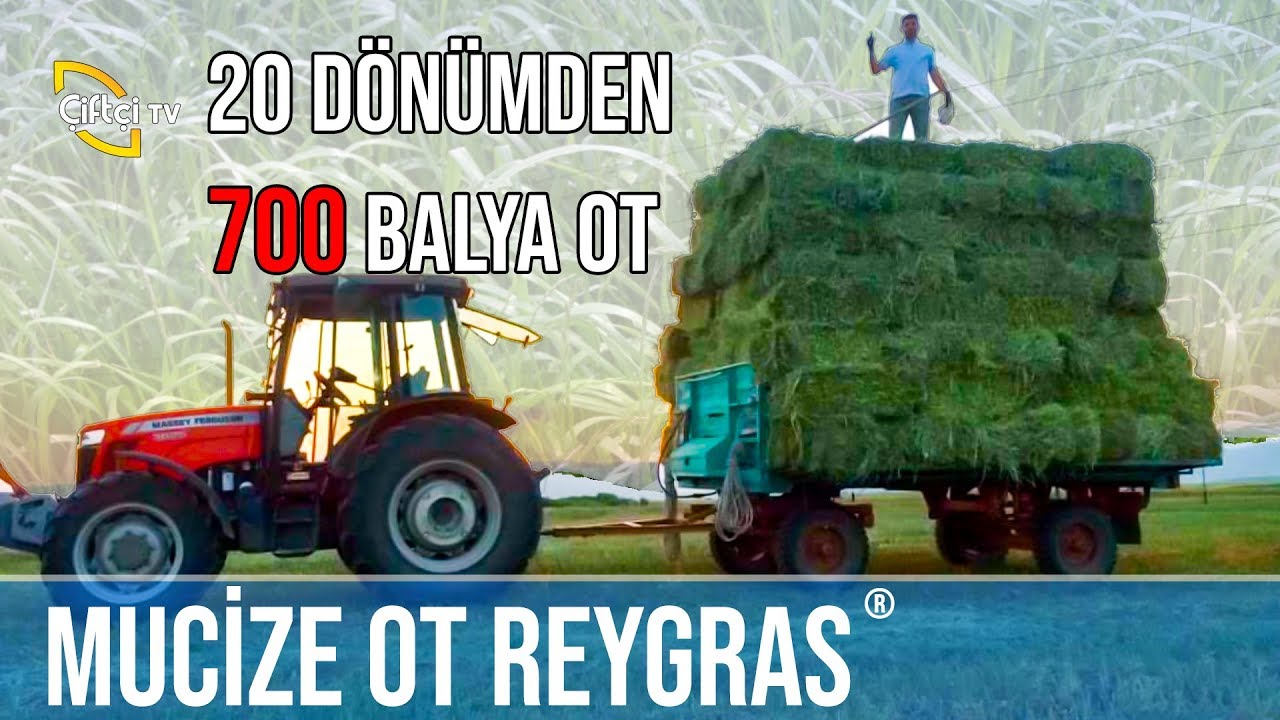 Reygras Eken &Ccedil;ift&ccedil;iler Anlatıyor! -&Ccedil;ift&ccedil;i TV