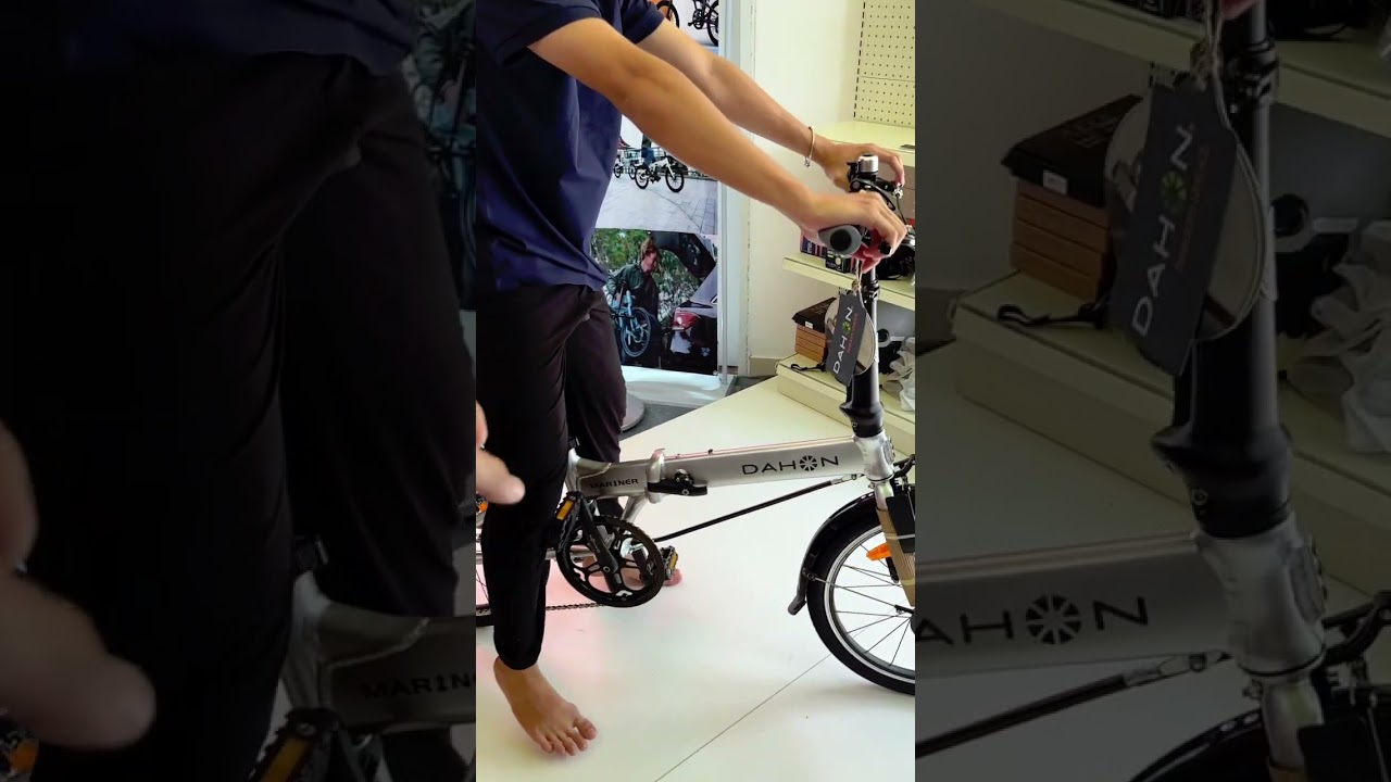 Dahon Mariner 20