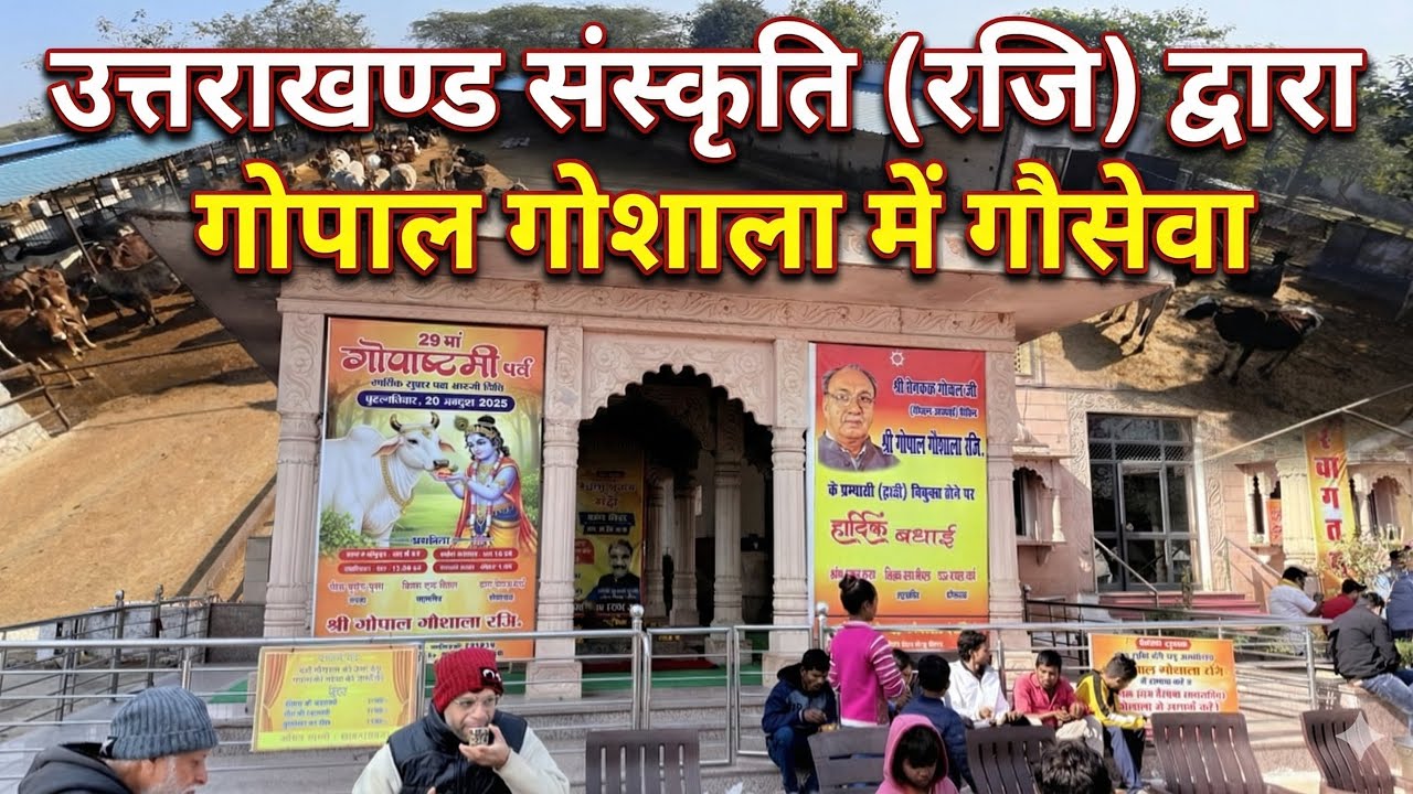 उत्तराखंड संस्कृति (रजि.) आई पी कालोनी फरीदाबाद द्वारा गोपाल गोशाला फरीदाबाद में गौसेवा