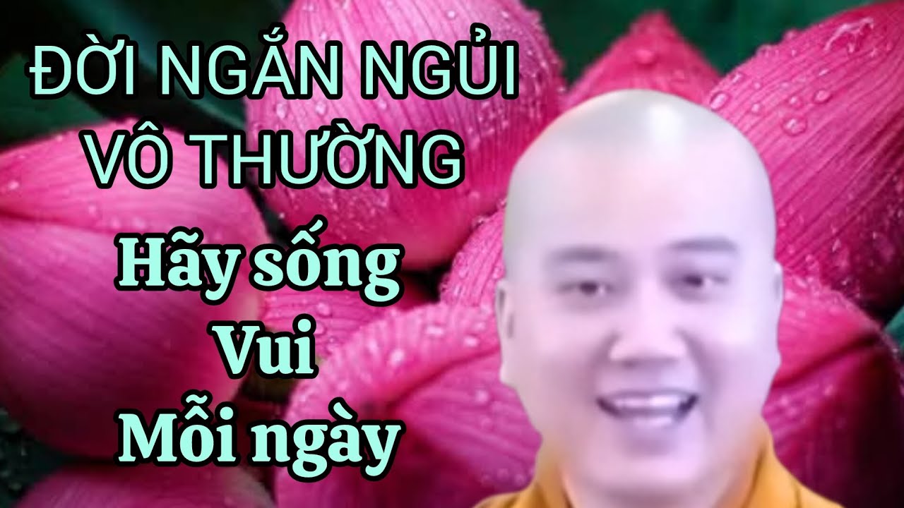 Pháp thoại Thích pháp Hòa, đời vô thường hãy gắng sống vui