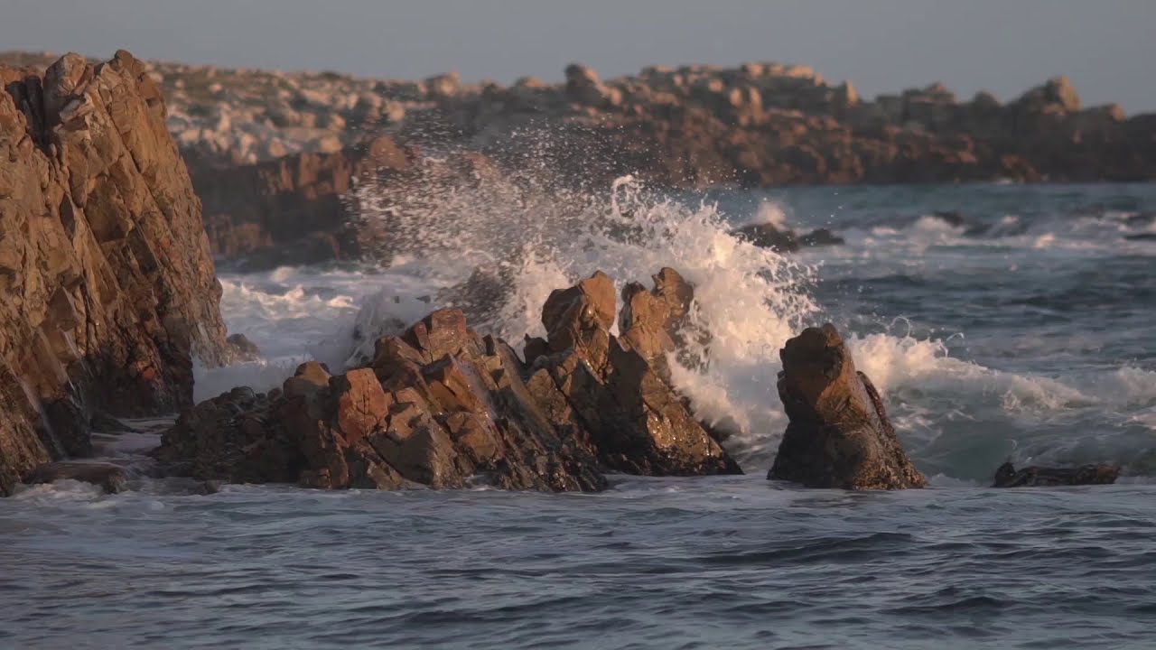 De Hoop Nature Reserve, Bredasdorp