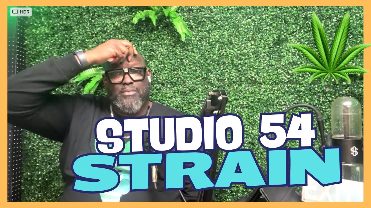 Studio 54 Strain: Exploring Mississippi's Medical Marijuana