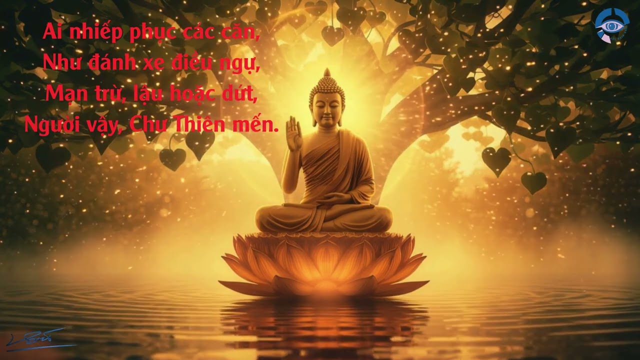 Giữ sáu căn như giữ thắng xe, lỡ buông là lao xuống vực
