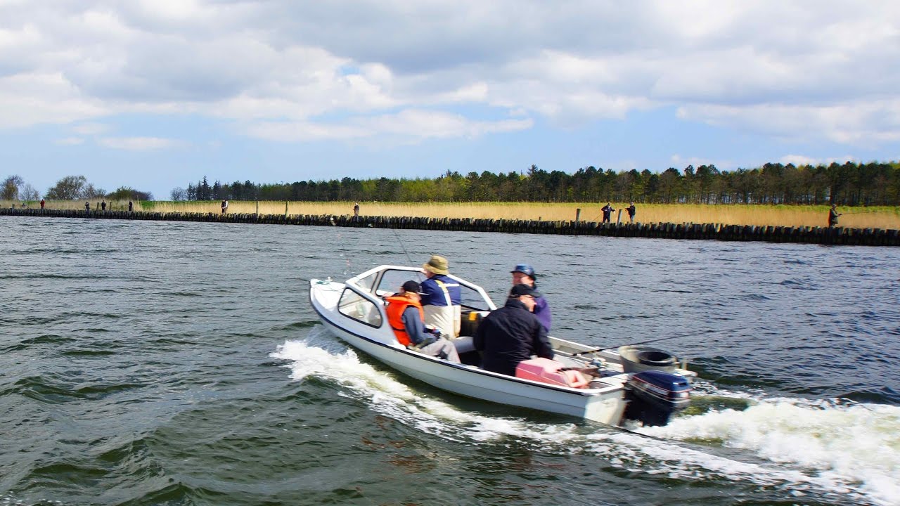 Sildefiskeri/ Randers Fjord/ Fra Båd/ Djursland/ 29. april 2017