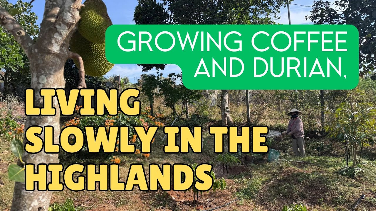 Visiting My Mother’s New Garden: A Simple Life In Central Highland, Vietnam