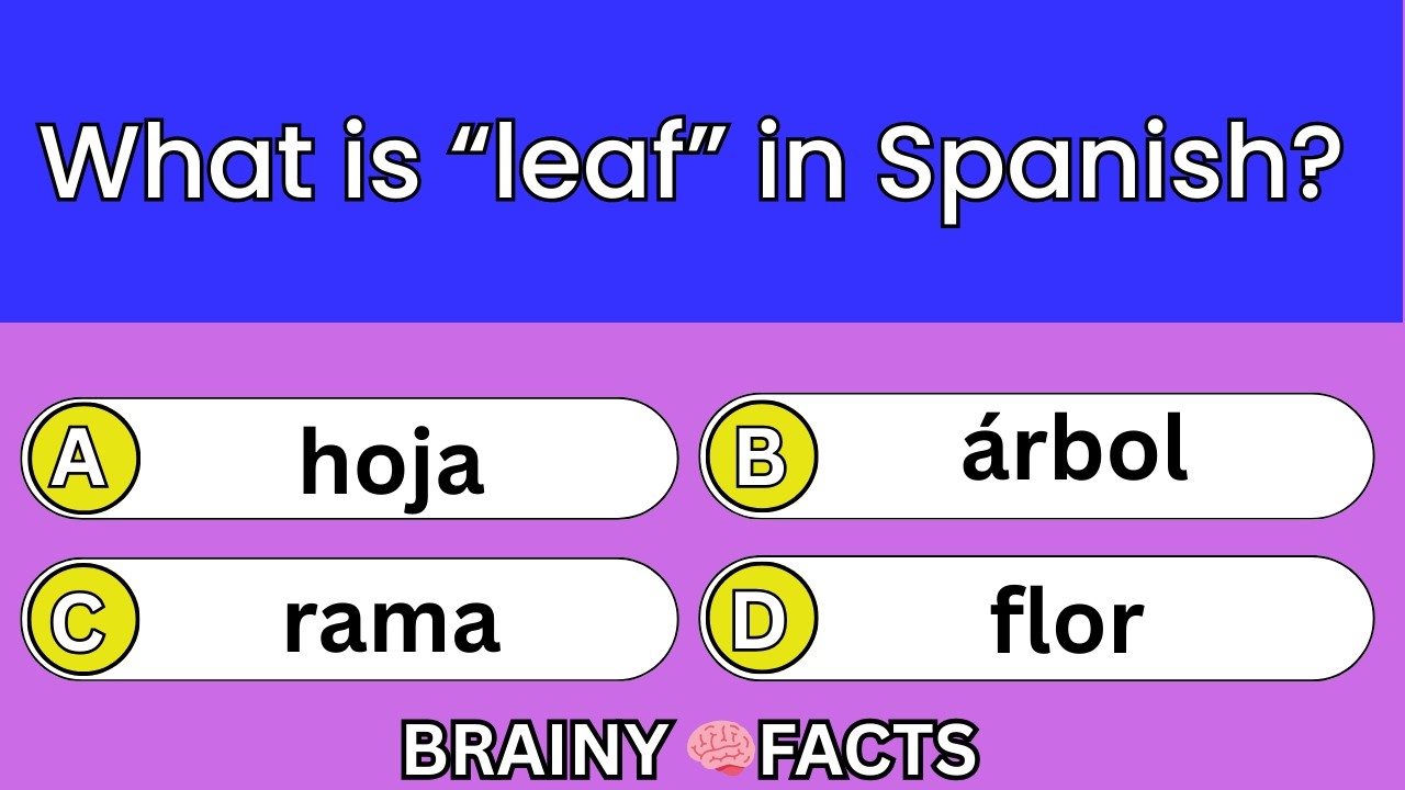 ✅ Only Smart Learners Pass This Spanish Test | This Spanish Quiz Will Improve Your Spanish Instantly